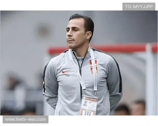 意大利队长卡纳瓦罗重伤退赛！欧洲杯征程蒙上阴影，谁来接替队长袖标？